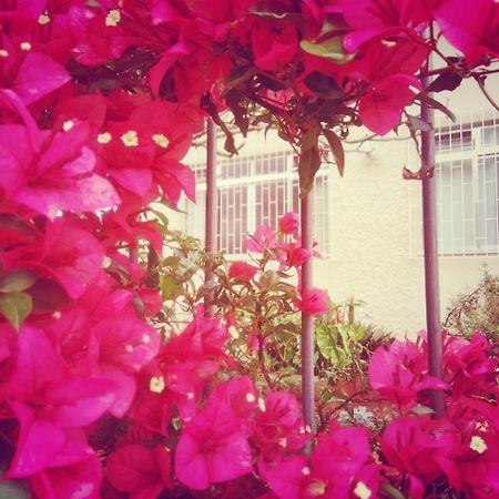 Hostel Nossa Casa Флоріанополіс Екстер'єр фото